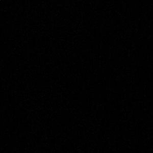 Meet your Posher, Bobby